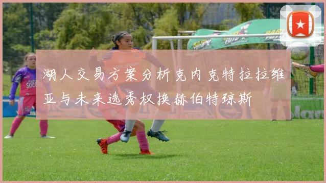 湖人交易方案分析克内克特拉拉维亚与未来选秀权换赫伯特琼斯
